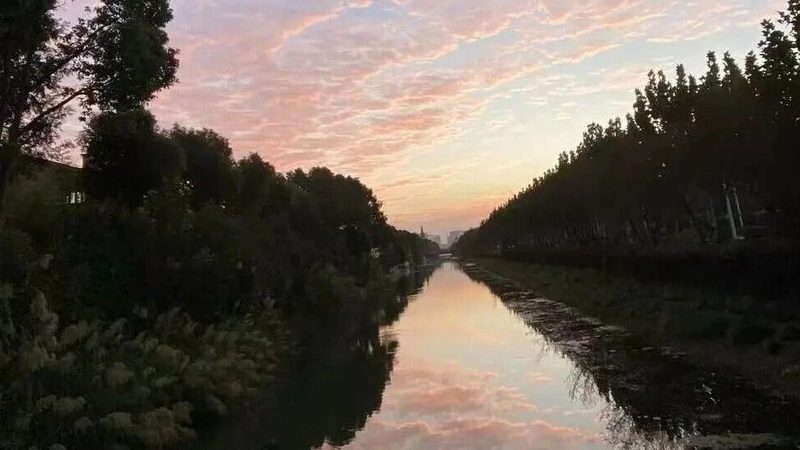 以下是一些在上海地区具有较高知名度和口碑的税务筹划机构，供企业主们参考：